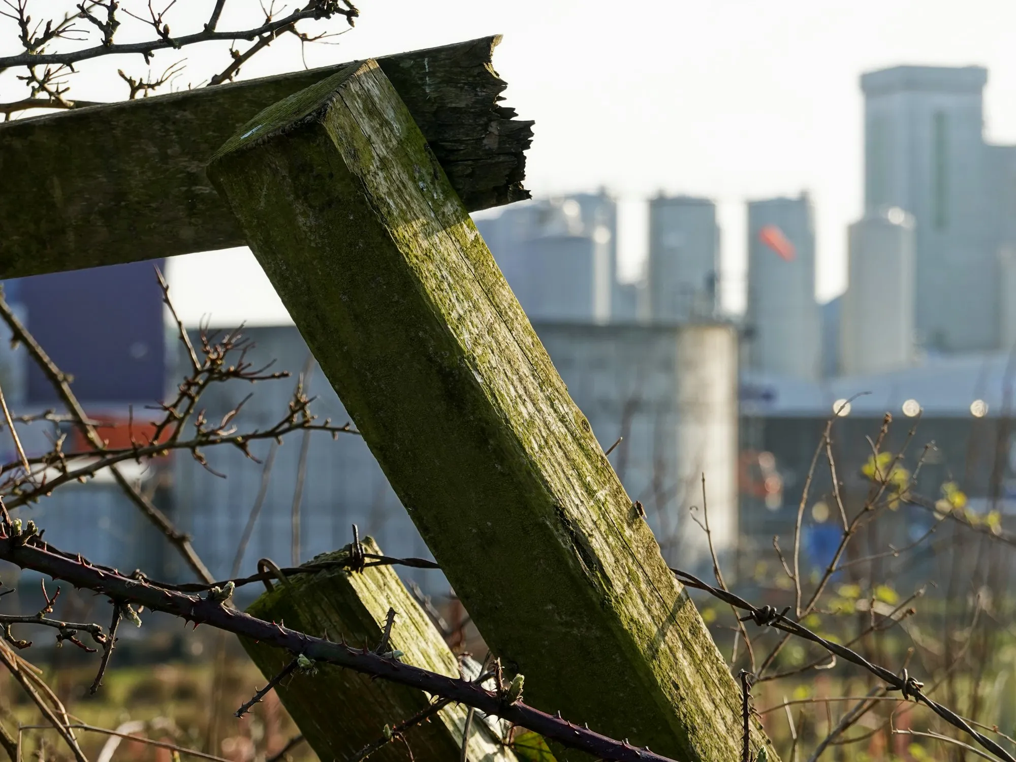 Broken, moss-covered wooden fence post leaning in front of industrial silos