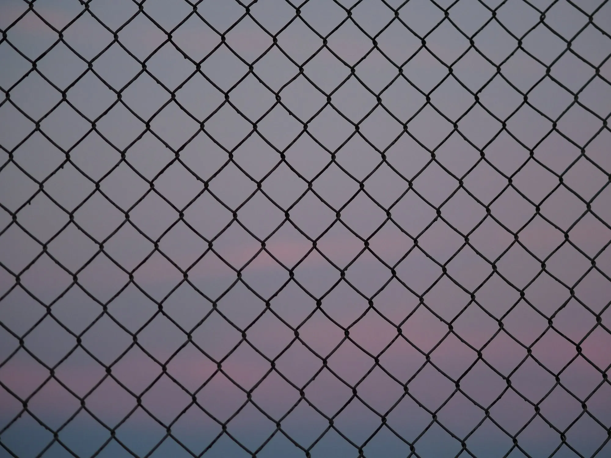 Close view of chain link mesh against a dusk sky