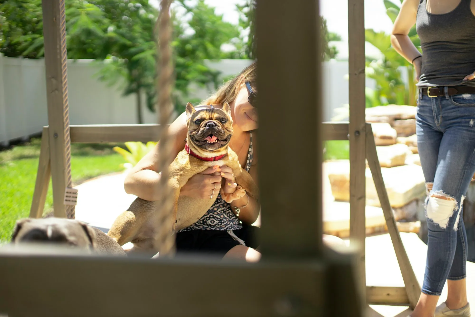 Woman holding a French bulldog in a backyard, seen through the rails of a wooden fence