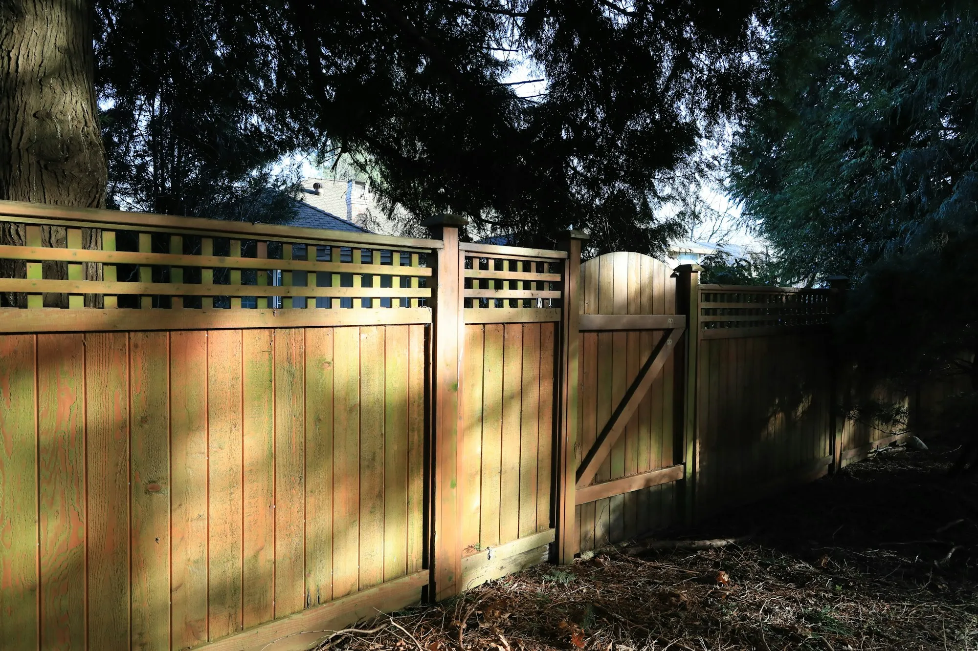 Wooden privacy fence with a lattice top and a matching gate under tall trees