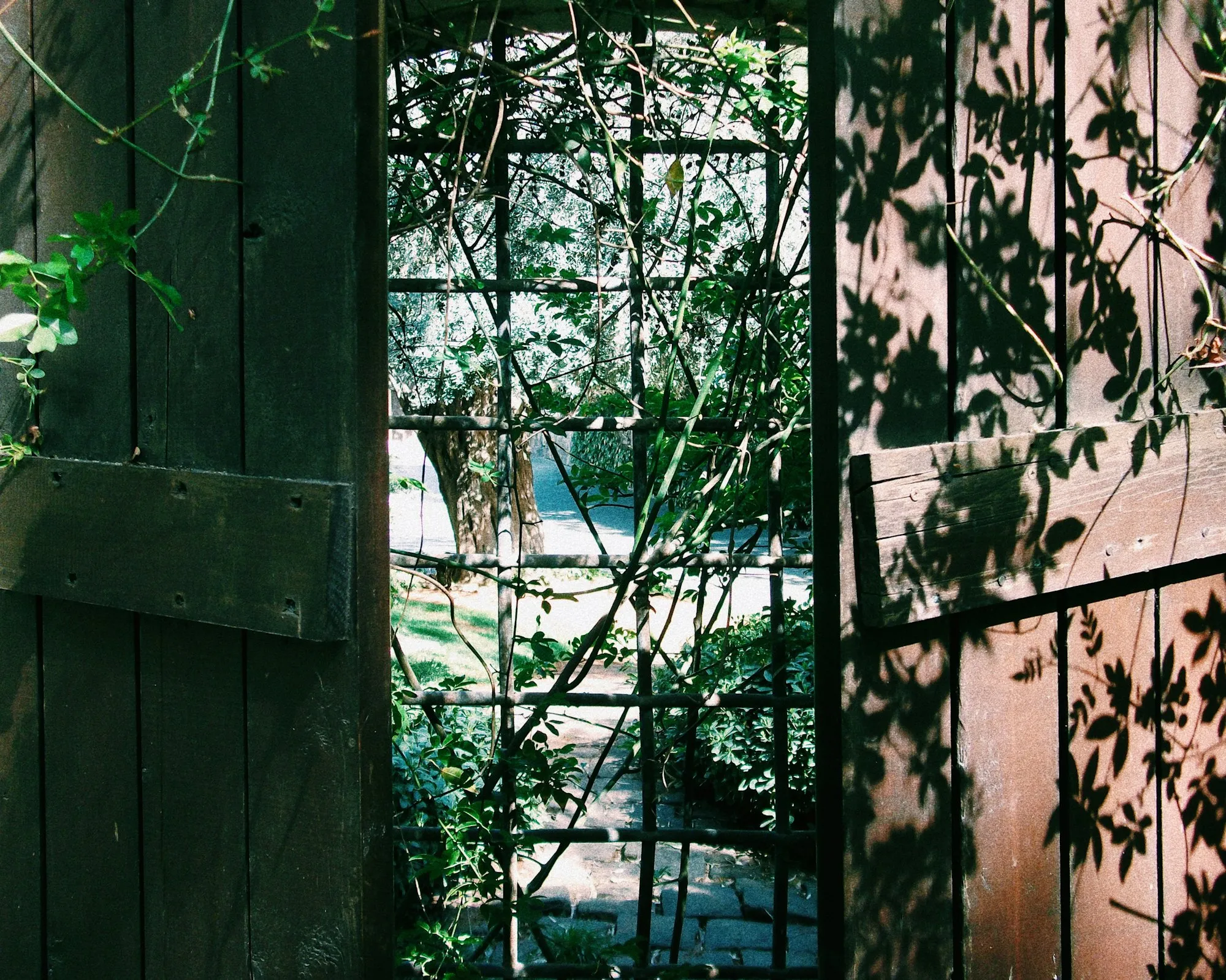 Open wooden garden gate with a trellis and climbing vines behind it