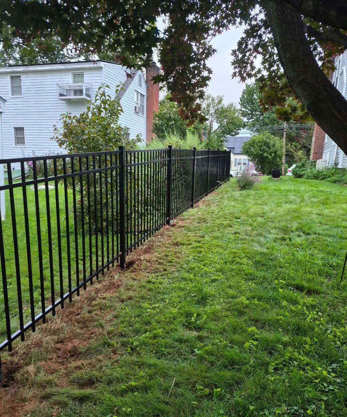 Black aluminum fence running along the property line of a side yard