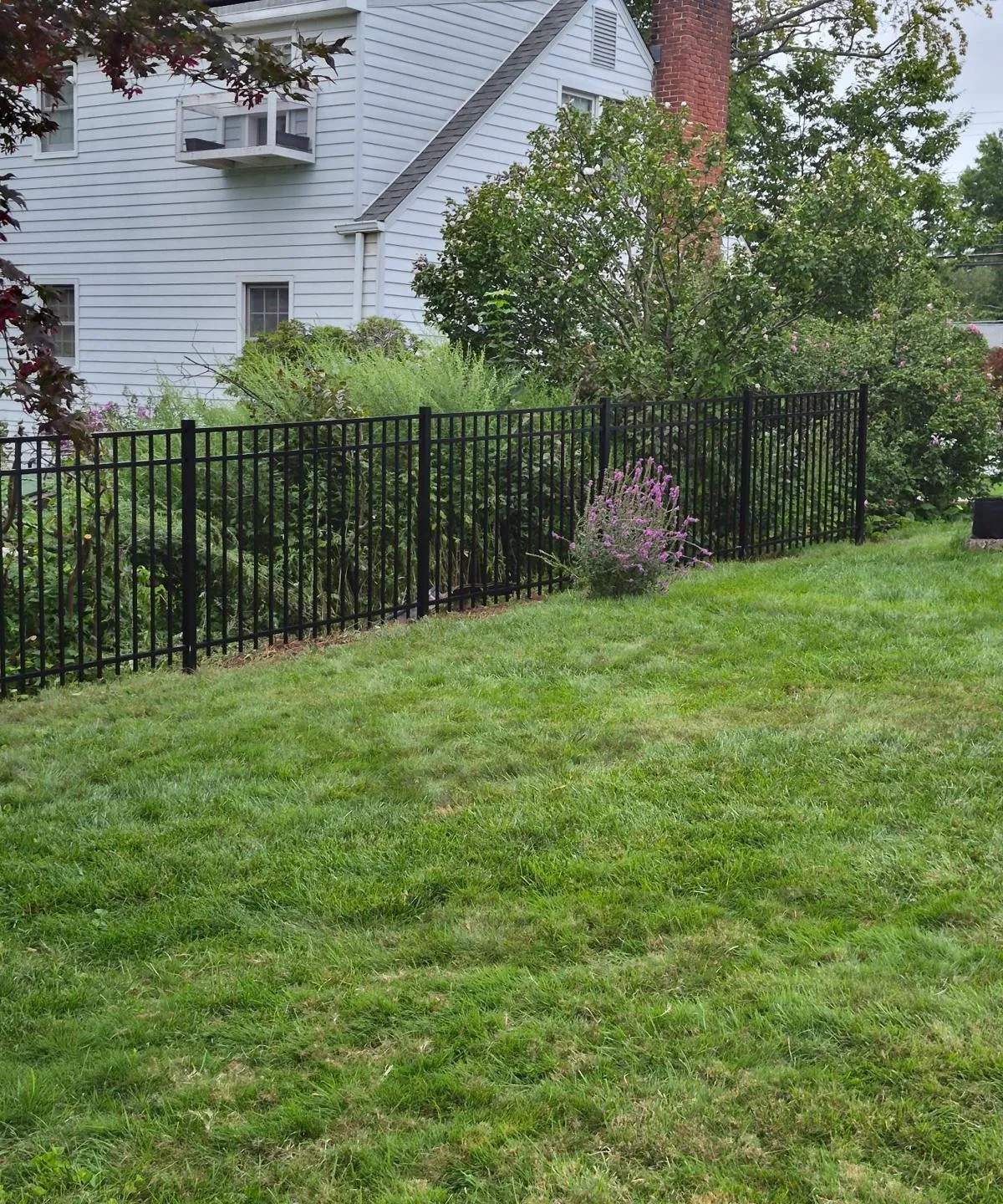 Black aluminum fence across a lawn in front of shrubs and a gray house