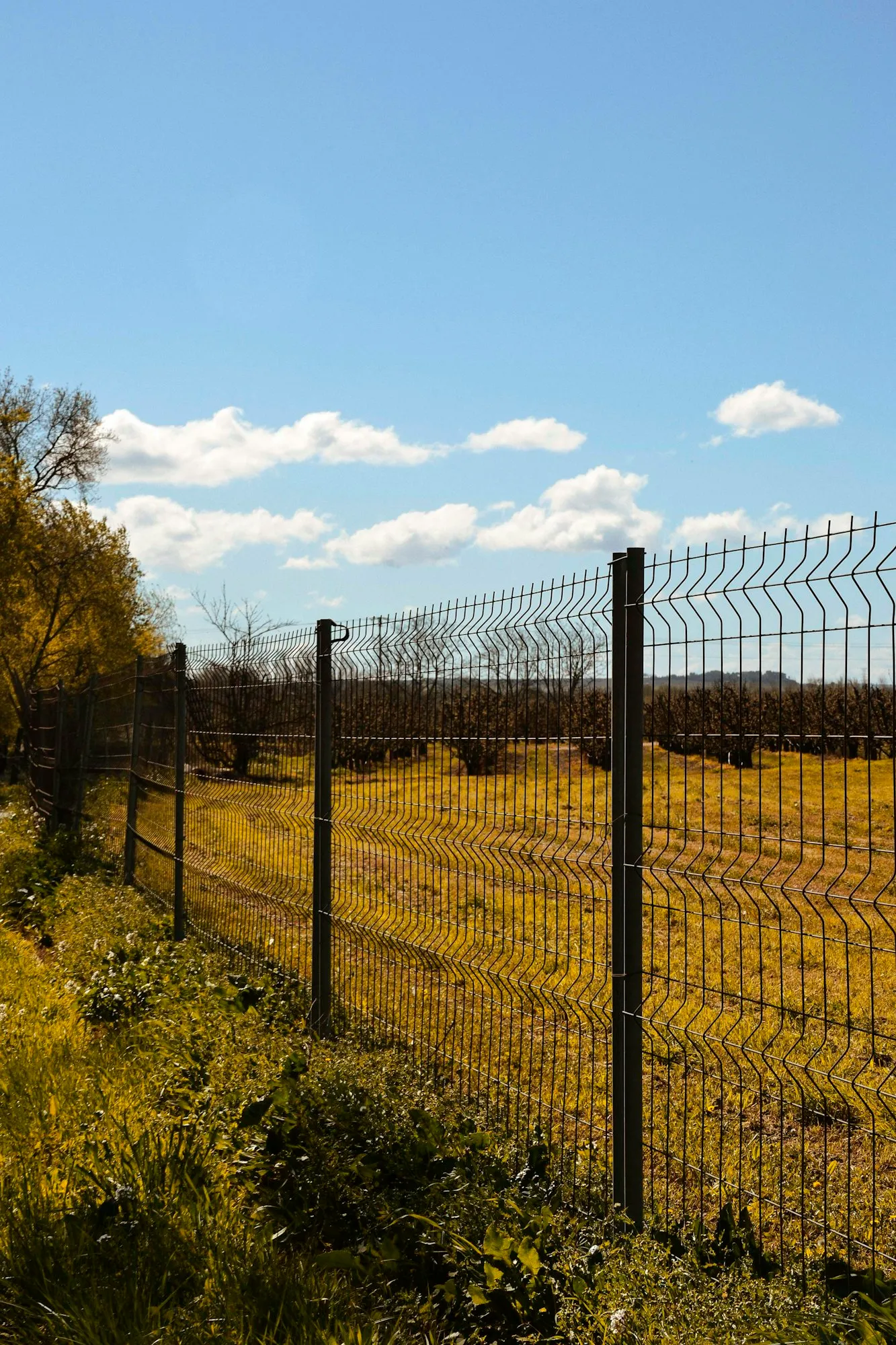 Welded wire panel fence on steel posts along the edge of a field