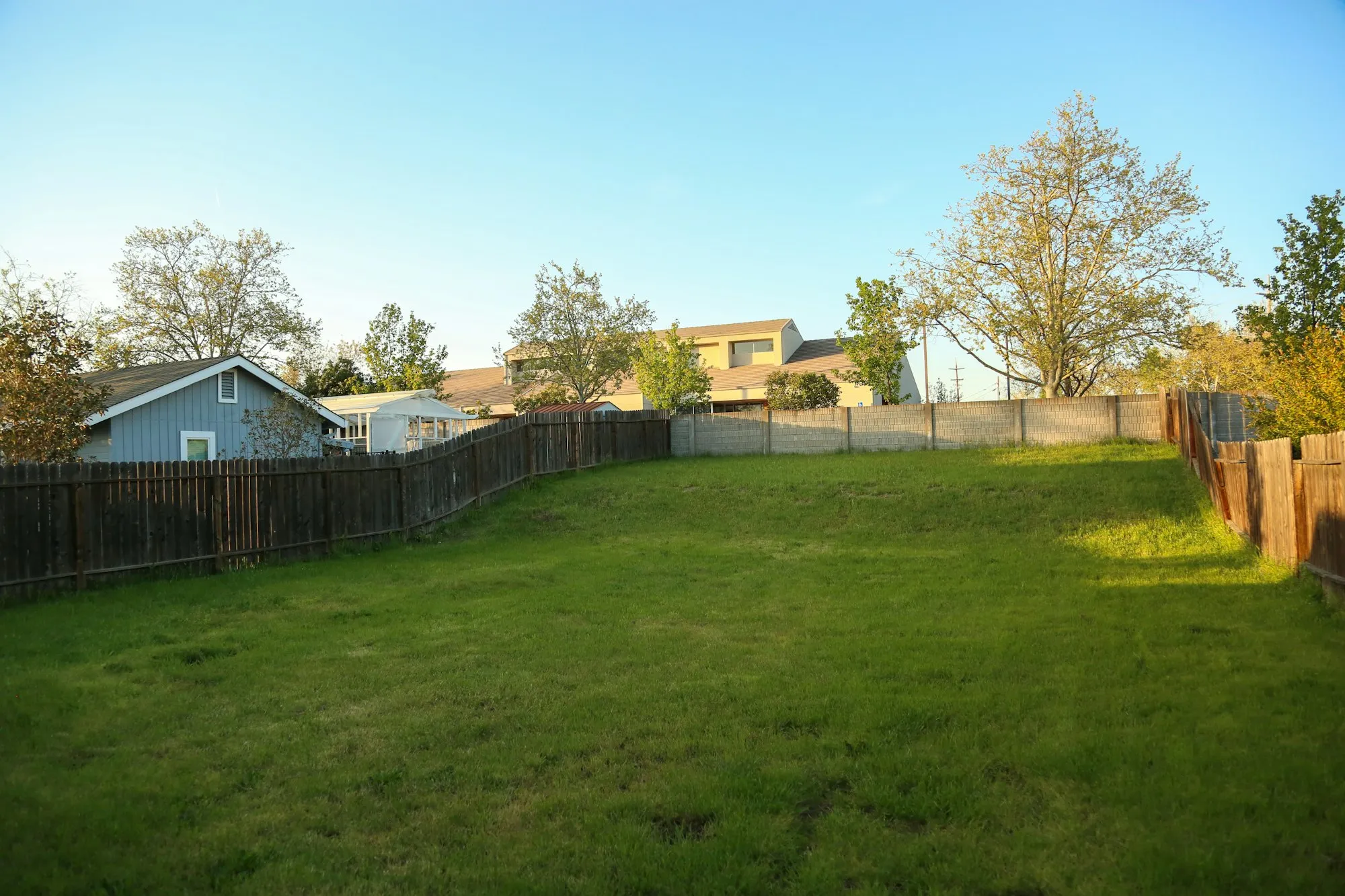 Open backyard lawn enclosed by a wooden board fence, with houses beyond